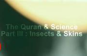 Quran & Science Part III Insects & Skins